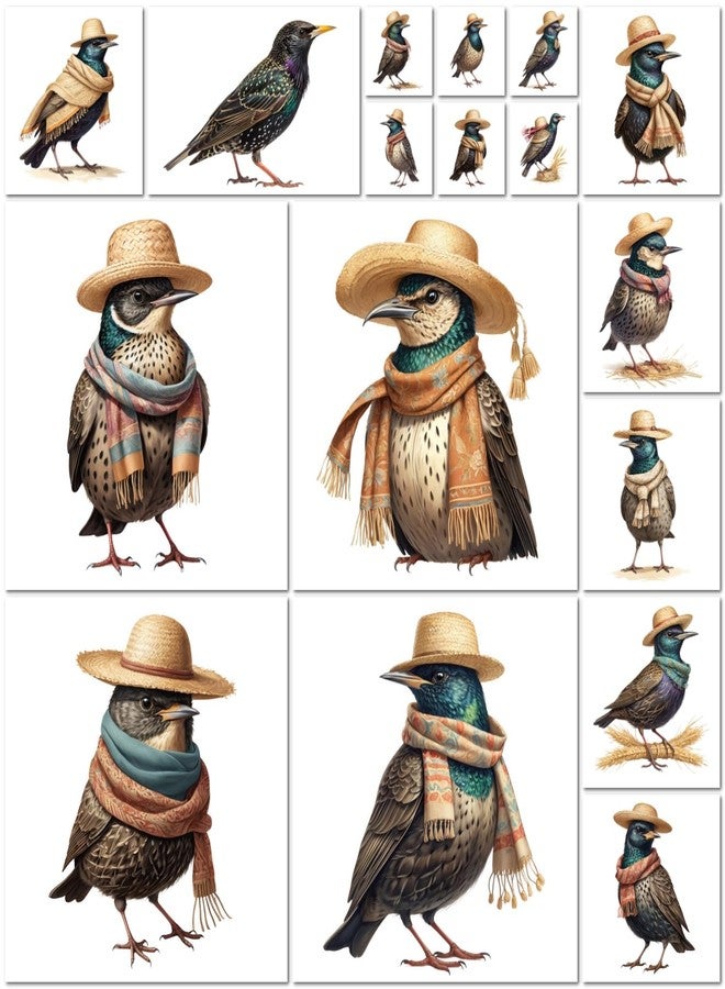VAAIMAI 17-Piece Starling Stickers | Watercolor European Bird & Garden Wildlife Designs | Waterproof Iridescent Bird Stickers for Nature Journal, Pack of 4 - Image 4